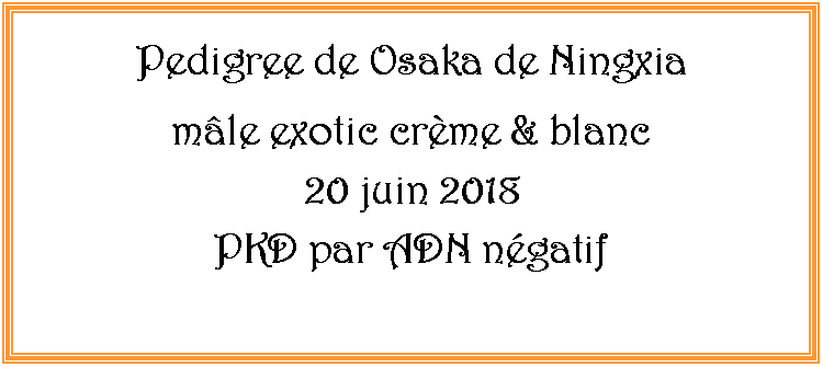 Zone de Texte: Pedigree de Osaka de Ningxiamle exotic crme & blanc 20 juin 2018PKD par ADN ngatif