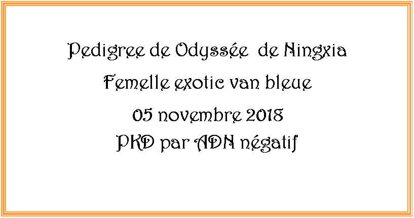 Zone de Texte: Pedigree de Odysse  de Ningxia Femelle exotic van bleue05 novembre 2018PKD par ADN ngatif
