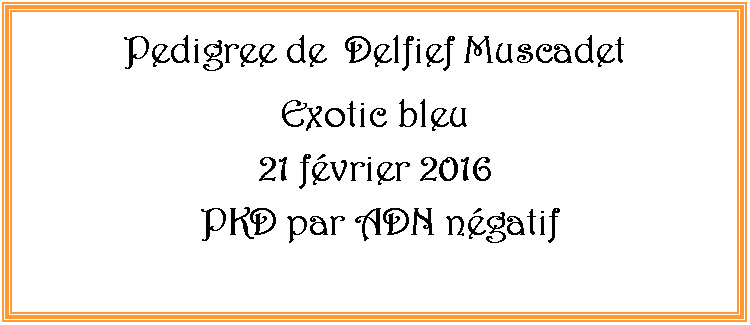 Zone de Texte: Pedigree de  Delfief Muscadet  Exotic bleu21 fvrier 2016 PKD par ADN ngatif