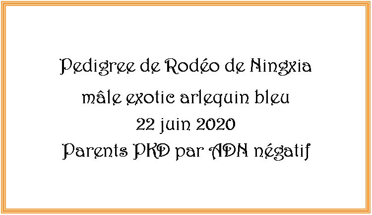 Zone de Texte: Pedigree de Rodo de Ningxiamle exotic arlequin bleu 22 juin 2020Parents PKD par ADN ngatif
