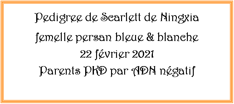 Zone de Texte: Pedigree de Scarlett de Ningxiafemelle persan bleue & blanche 22 fvrier 2021Parents PKD par ADN ngatif