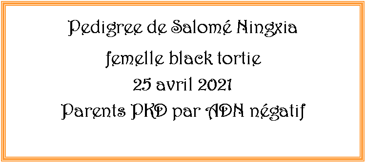 Zone de Texte: Pedigree de Salom Ningxiafemelle black tortie25 avril 2021Parents PKD par ADN ngatif