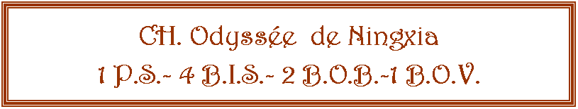 Zone de Texte: CH. Odyssée  de Ningxia1 P.S.- 4 B.I.S.- 2 B.O.B.-1 B.O.V.