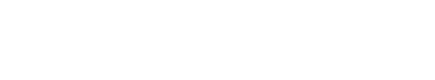 Zone de Texte: 2007