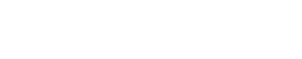 Zone de Texte: 2008