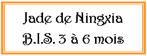 Zone de Texte: Jade de Ningxia B.I.S. 3  6 mois 