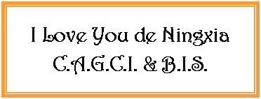 Zone de Texte: I Love You de Ningxia C.A.G.C.I. & B.I.S. 