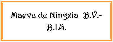 Zone de Texte: Mava de Ningxia  B.V.- B.I.S. 