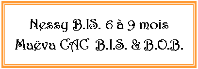 Zone de Texte: Nessy B.IS. 6  9 moisMava CAC  B.I.S. & B.O.B.