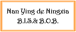 Zone de Texte: Nan Ying de NingxiaB.I.S.& B.O.B.