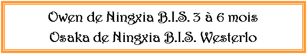 Zone de Texte: Owen de Ningxia B.I.S. 3  6 mois Osaka de Ningxia B.I.S. Westerlo