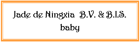 Zone de Texte: Jade de Ningxia  B.V. & B.I.S. baby
